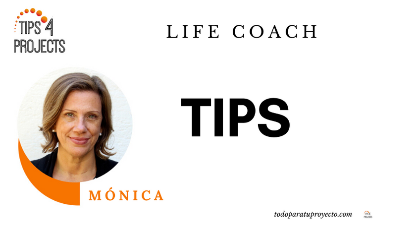 Tips4Projects Notas Monica